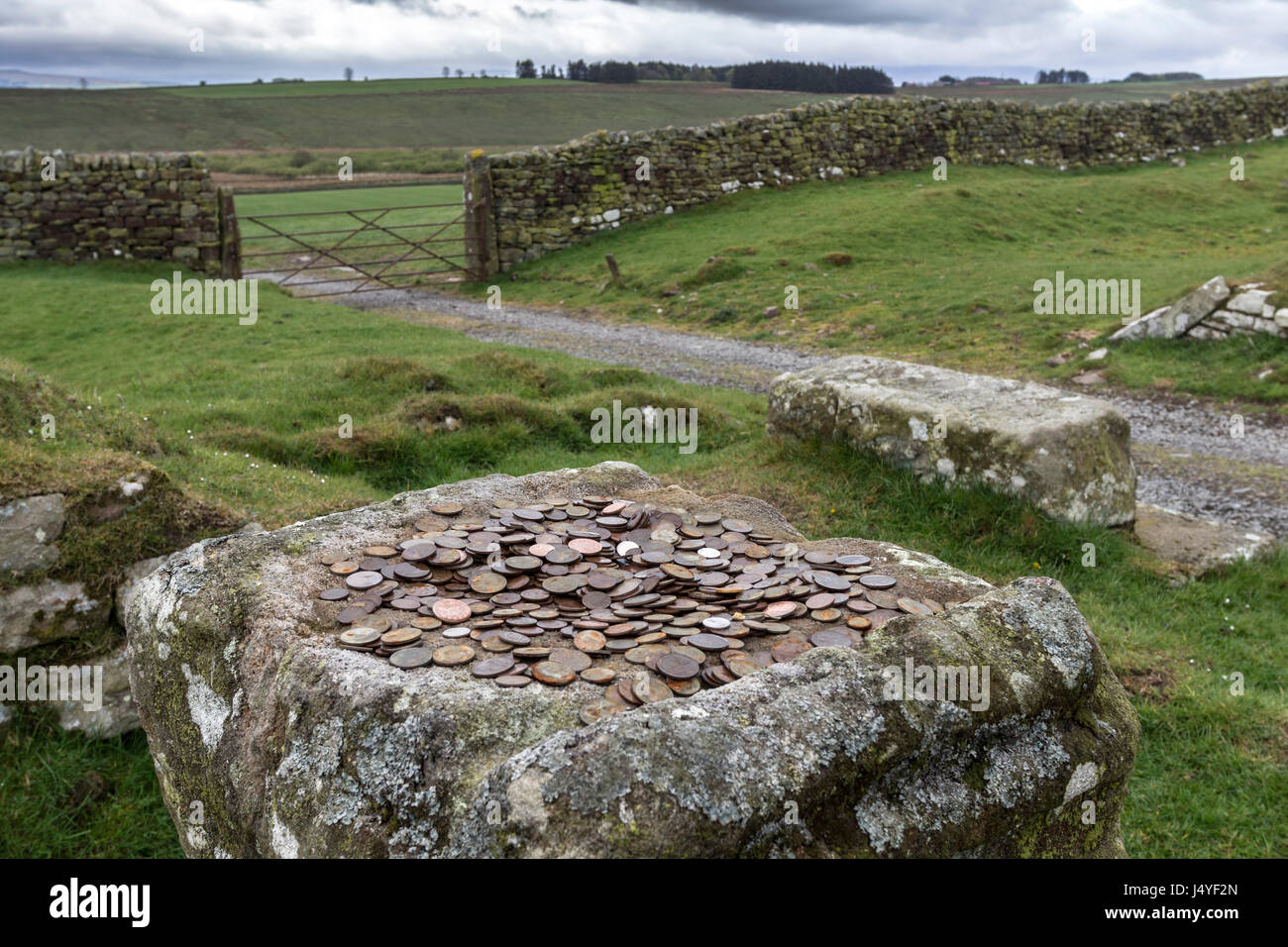 Altare di pietra con il giorno moderno offerte votive, Aesica Roman Fort (grande Chesters) del Vallo di Adriano, Haltwhistle, Northumberland, Regno Unito Foto Stock