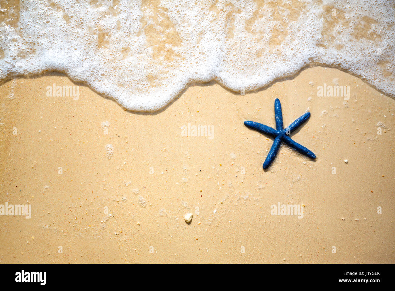 Stella blu sul litorale sabbioso Foto Stock