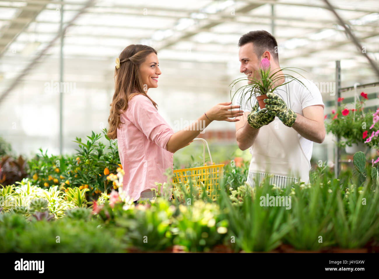 Il cliente cerca consigli del venditore per l'acquisto di fiori nel negozio di serra Foto Stock