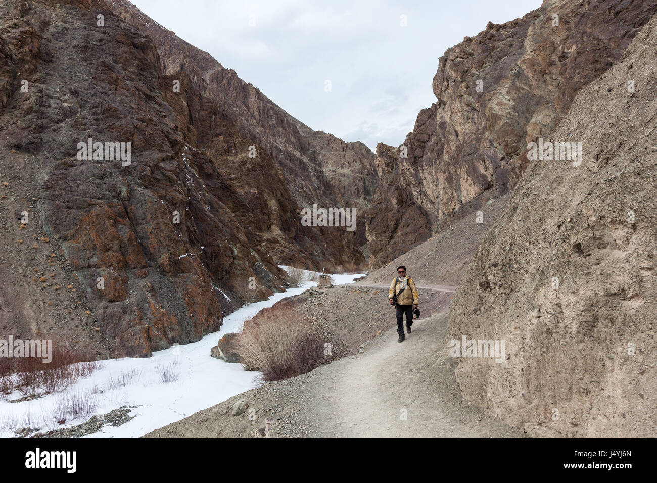 Paesaggio invernale nel Parco Nazionale di Hemis vicino a Leh, Ladakh in India durante la spedizione del leopardo di neve. Foto Stock