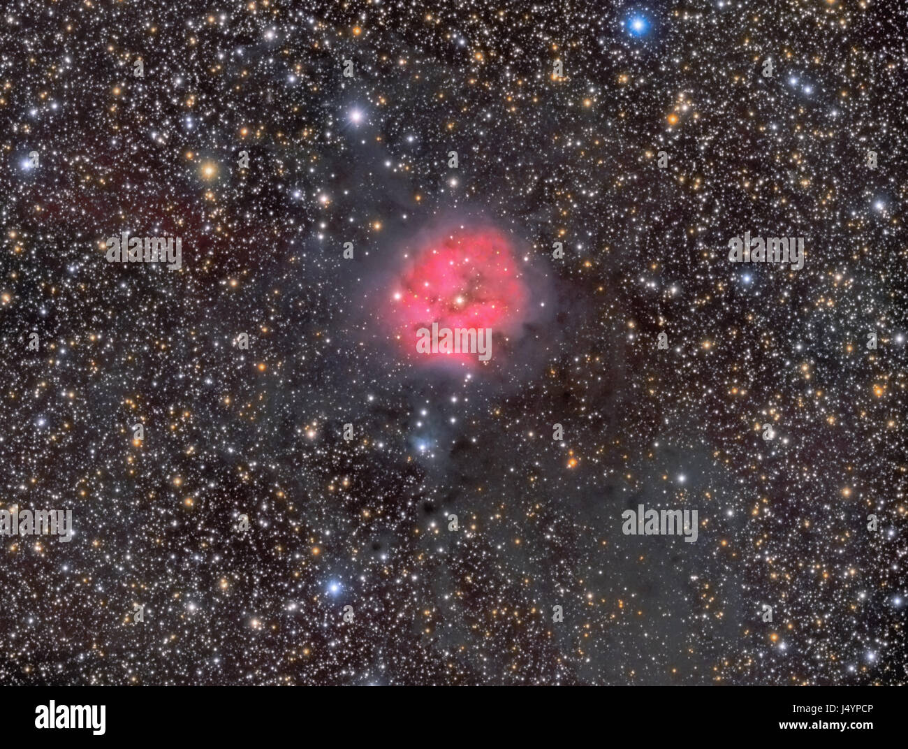 Il Cocoon Nebula Foto Stock