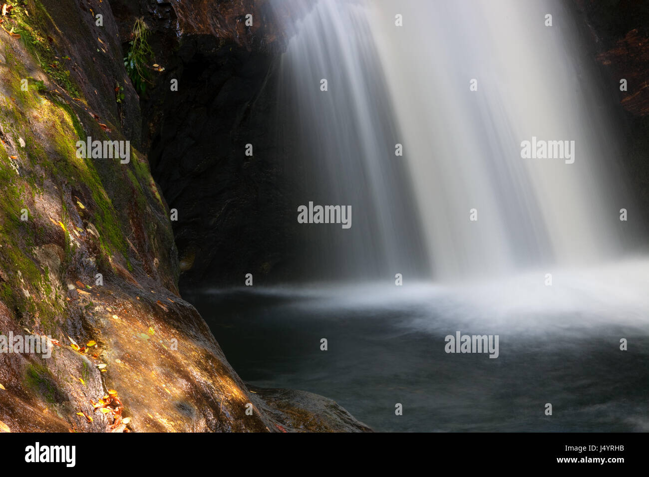 Movimento morbido di telai a cascata la foresta foro di acqua Foto Stock