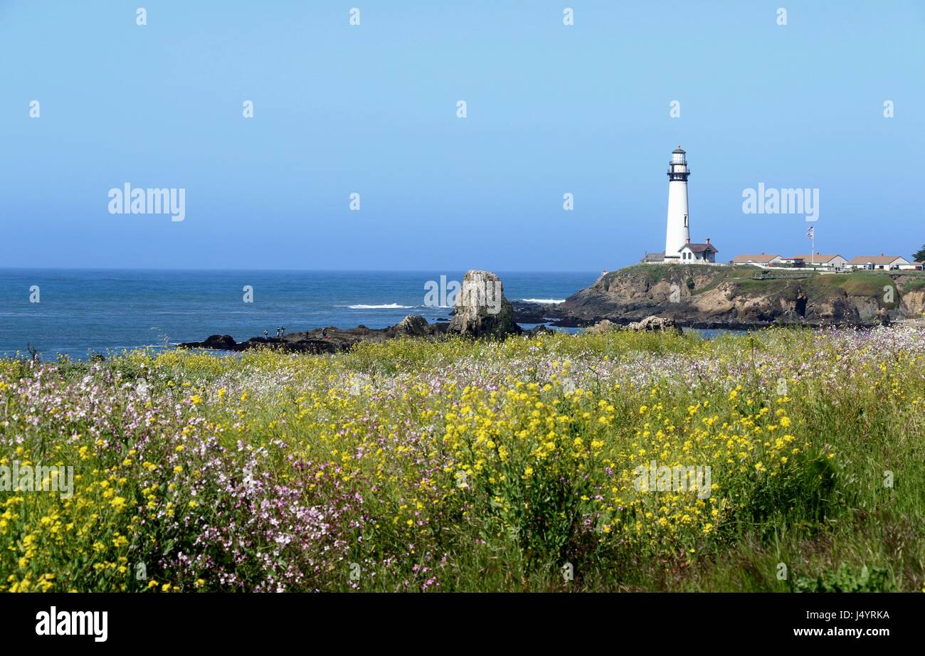 Pigeon Point Lighthouse, situato sull'autostrada 1, California. Foto Stock