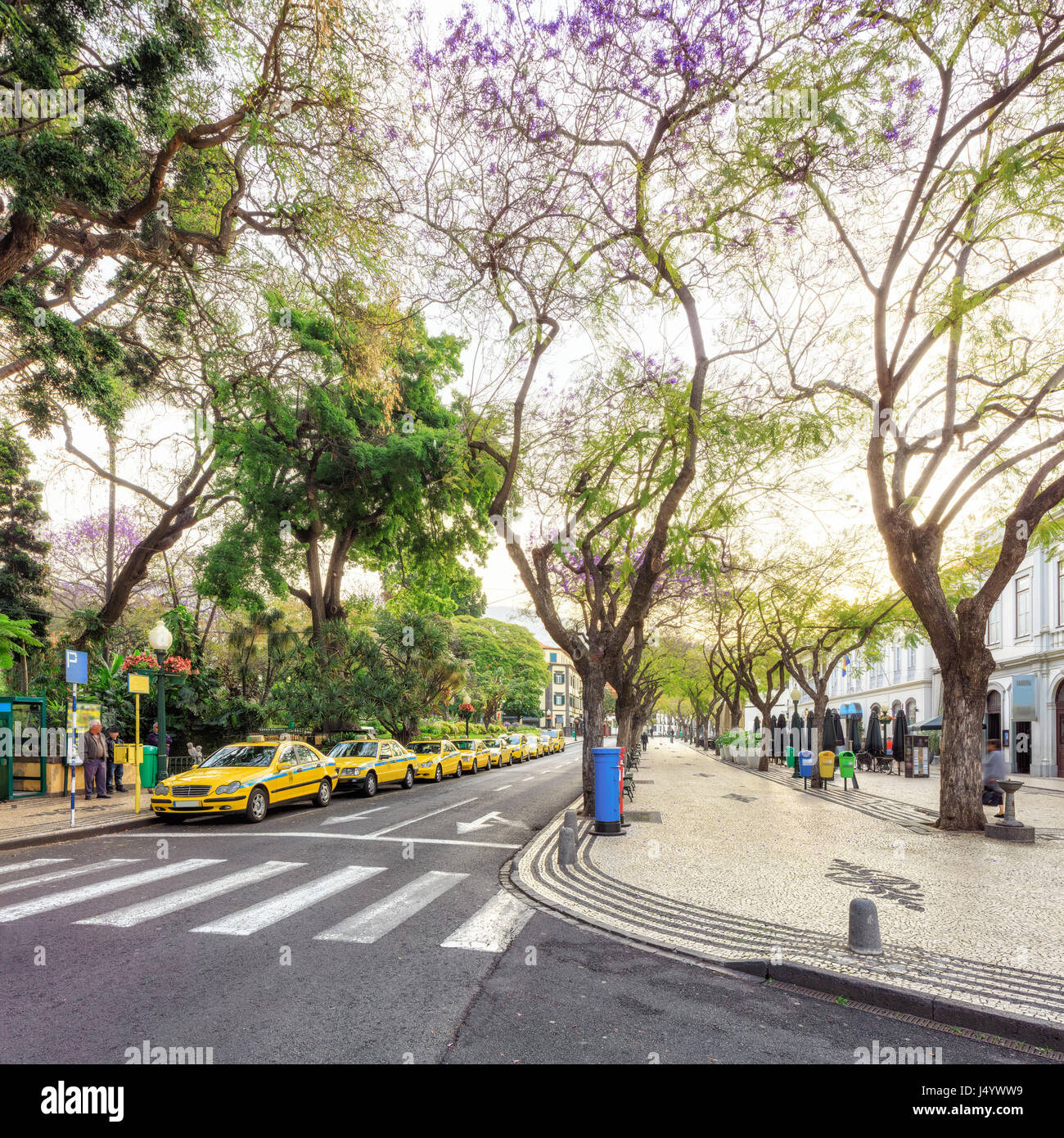 Il centro della città di Funchal, Madeira Foto Stock