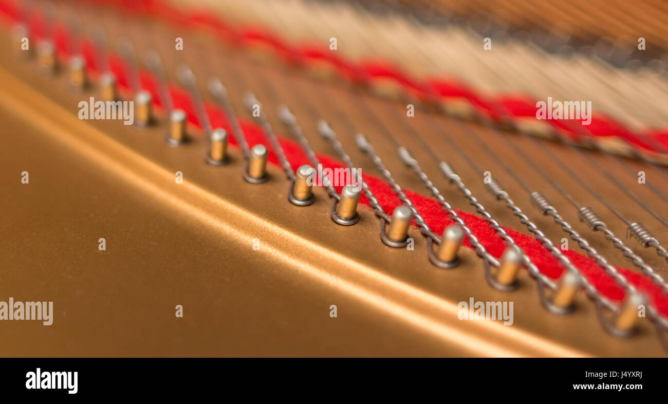 Le stringhe di pianoforte i perni di attacco in linea closeup. Foto Stock