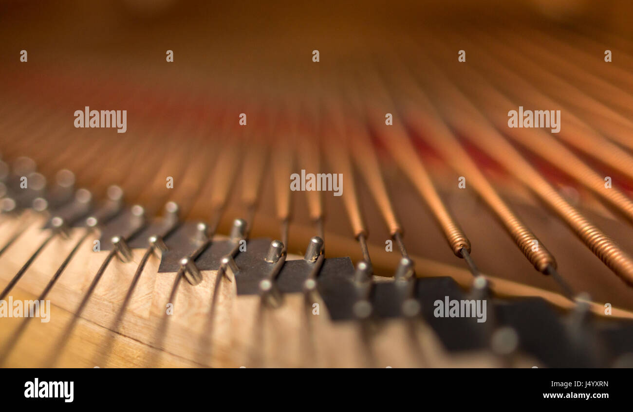 Grand piano spine a ponte all'interno delle tacche, avvolto stringhe allegate, il fuoco selettivo. Foto Stock