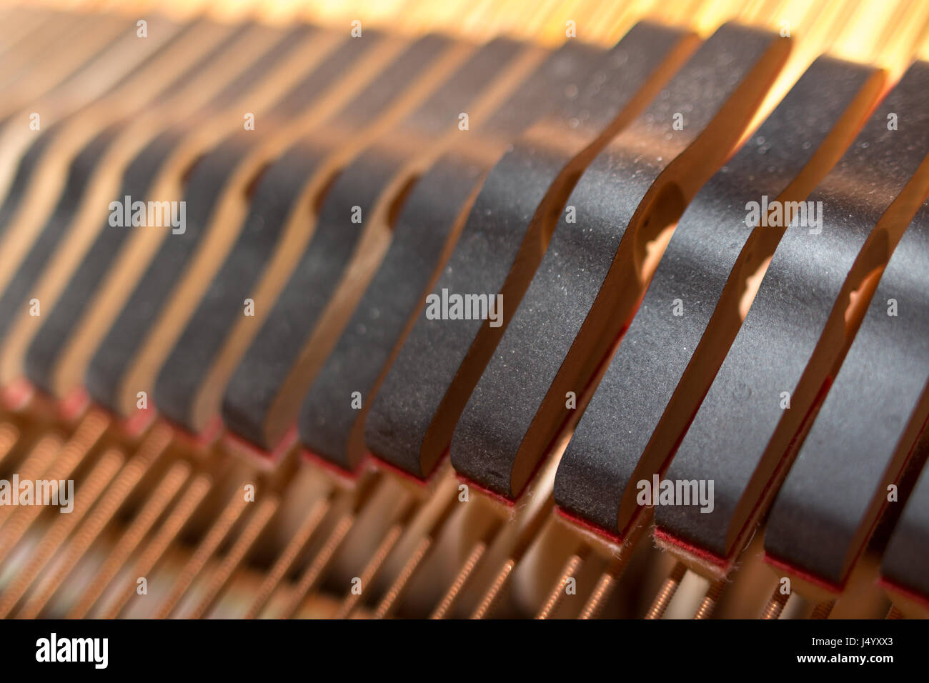 Primo piano di un gruppo di un segnale acustico di grand piano smorzatori delle stringhe di testa. Foto Stock