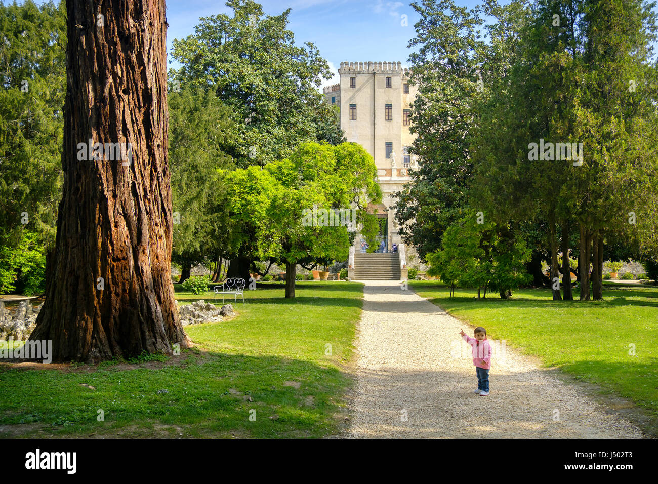 Albero Gigante trunk Catajo castello della provincia di Padova colli Euganei Italia area Foto Stock