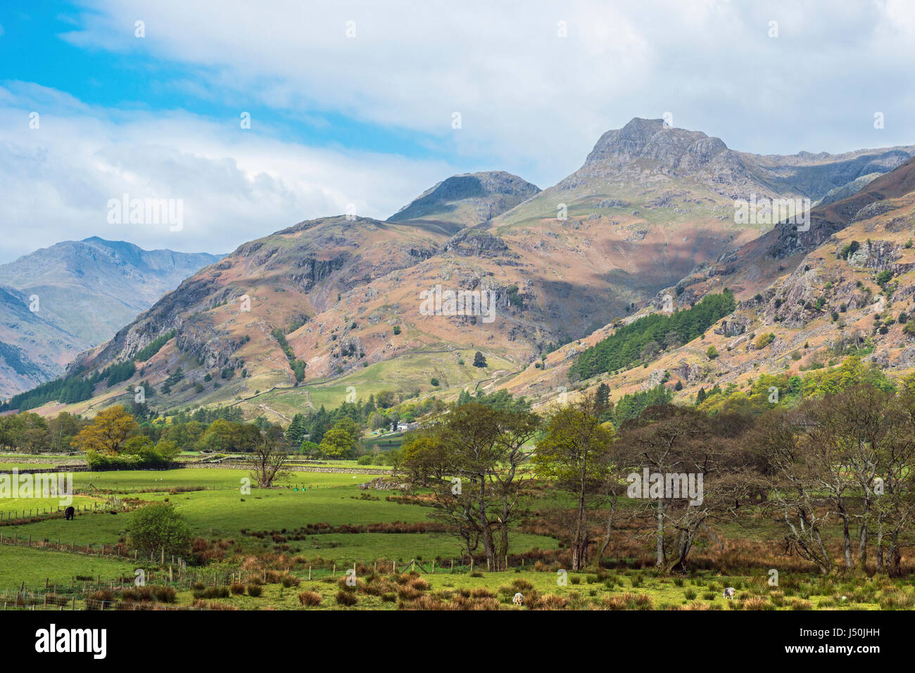 The Langdale Pikes Parco Nazionale del Distretto dei Laghi Foto Stock