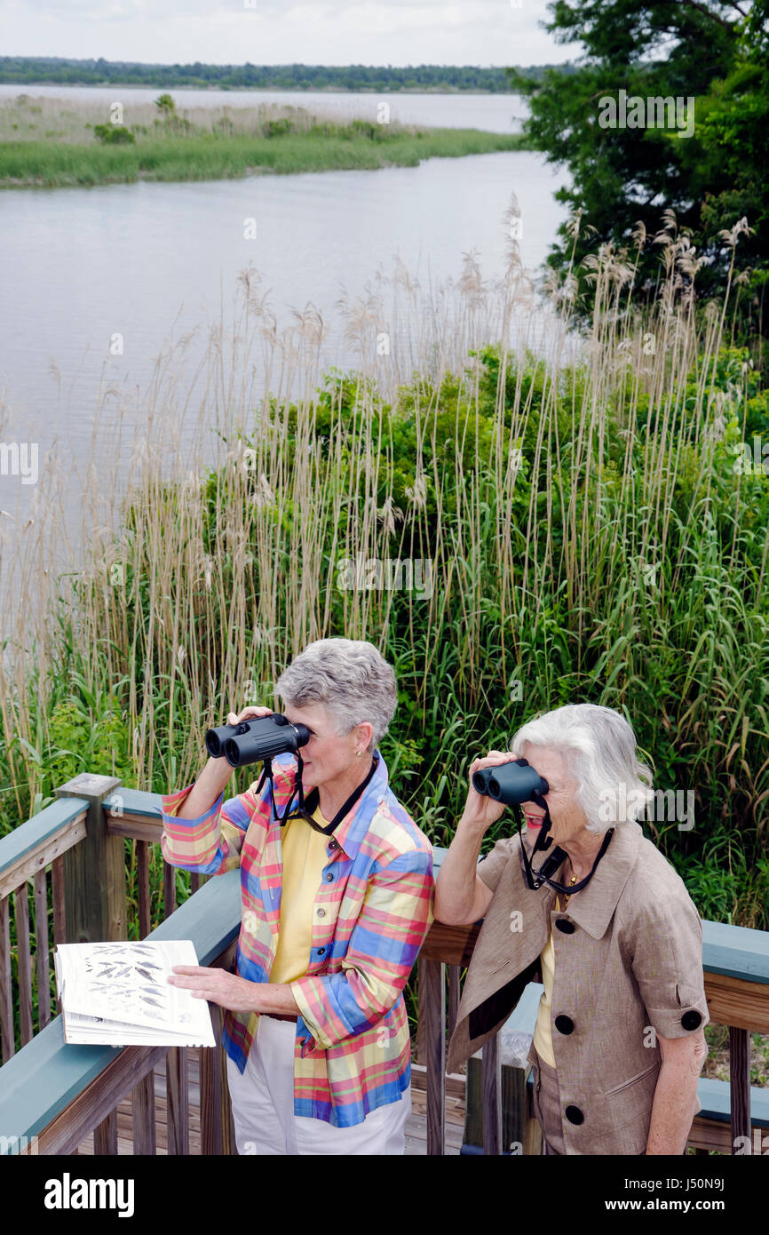 Alabama Mobile Bay Water,Spanish Fort,Mobile Tensaw River Water,5 River Waters Delta Resource Center,centro,natura,istruzione,adulti donne donne Foto Stock