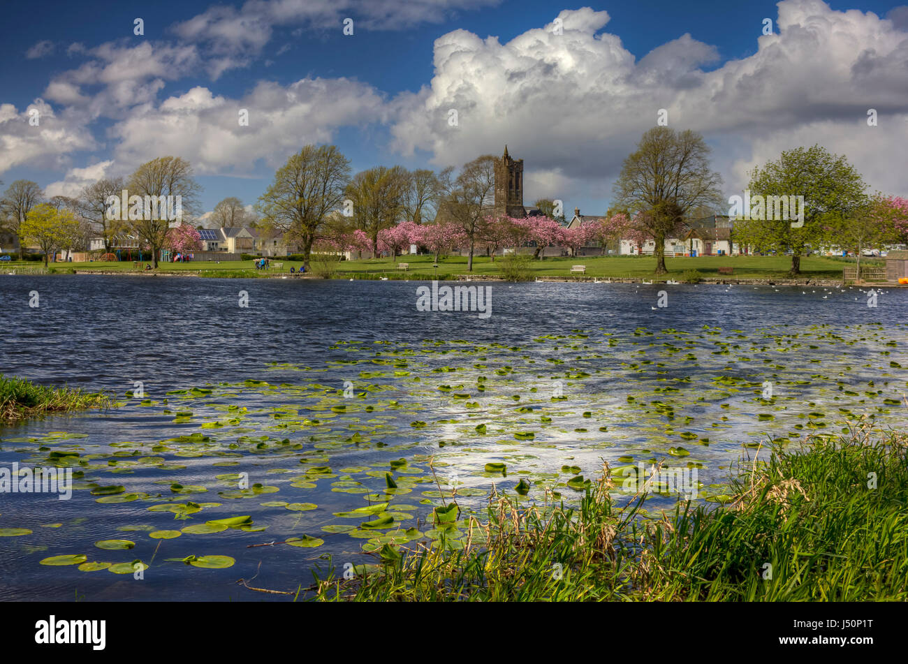 Immagine hdr guardando sopra Carlingwark Loch a The Fullarton e la fioritura dei ciliegi nel Lochside Park, Castle Douglas, Dumfries and Galloway, Scozia. L d'acqua Foto Stock