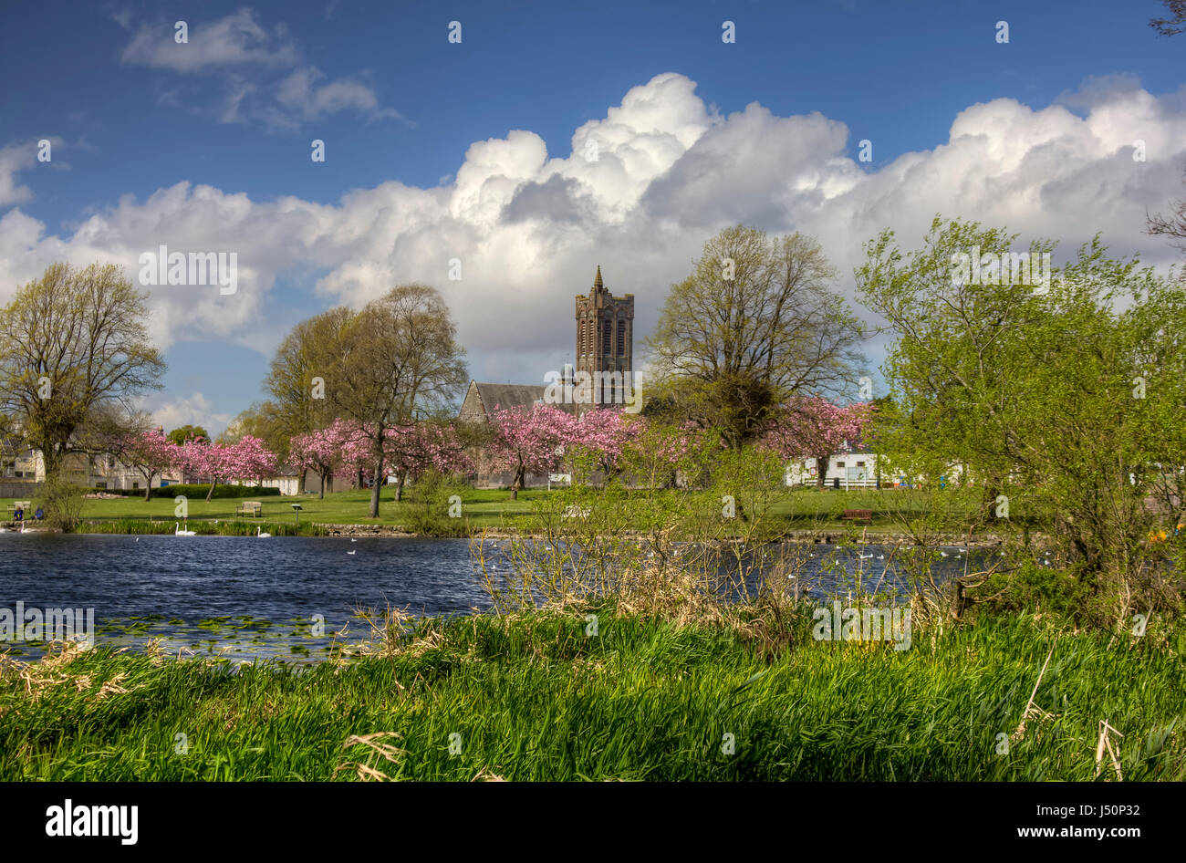 Immagine hdr, guardando sopra Carlingwark Loch a The Fullarton e la fioritura dei ciliegi nel Lochside Park, Castle Douglas, Dumfries and Galloway, Scozia. Foto Stock