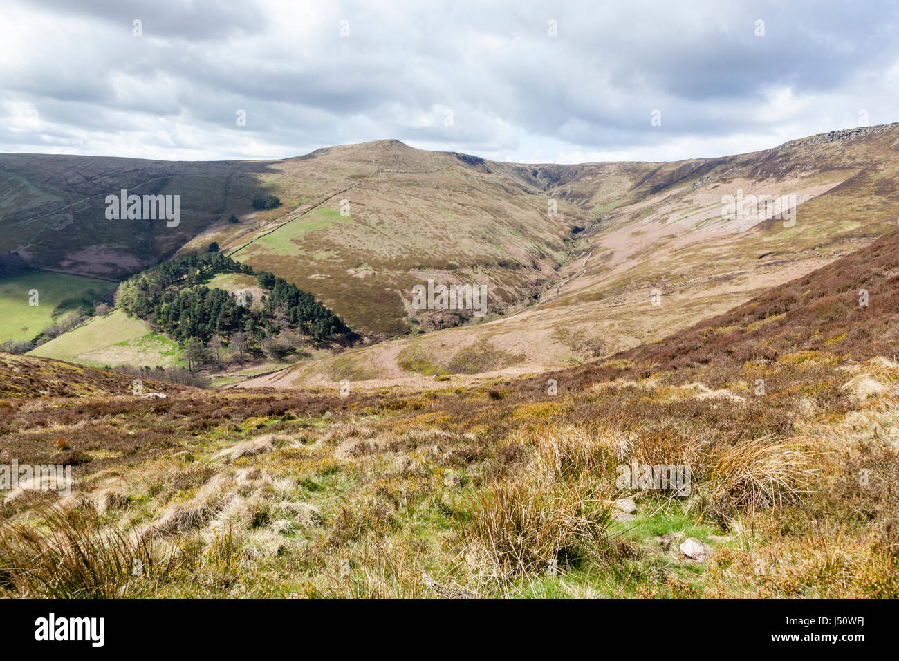 Inglese paesaggio di campagna. Grindsbrook Clough, sul bordo meridionale della Kinder Scout, Derbyshire, nel Parco Nazionale di Peak District, England, Regno Unito Foto Stock