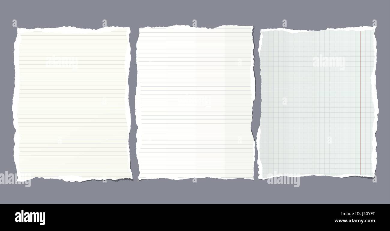Pezzi di strappato governata, squadrati nota, notebook, copybook fogli di carta bloccati su sfondo grigio. Illustrazione Vettoriale