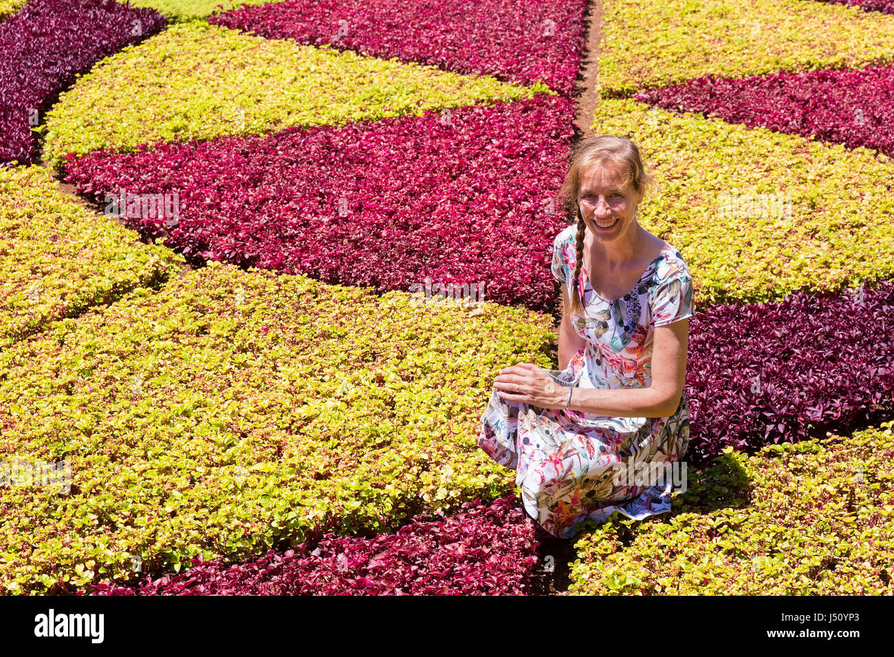 La donna caucasica come turista nel giardino botanico Foto Stock