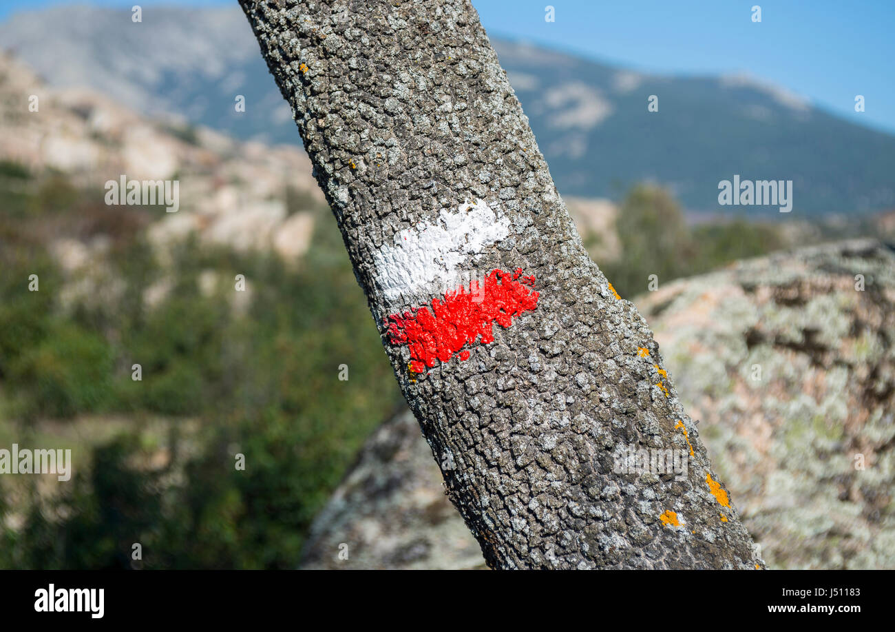 Il bianco e il rosso dei marchi di una lunga distanza itinerario a piedi (GR) sul tronco di un albero. Foto scattata a La Pedriza, Guadarrama Mountains National Park, di Madri Foto Stock