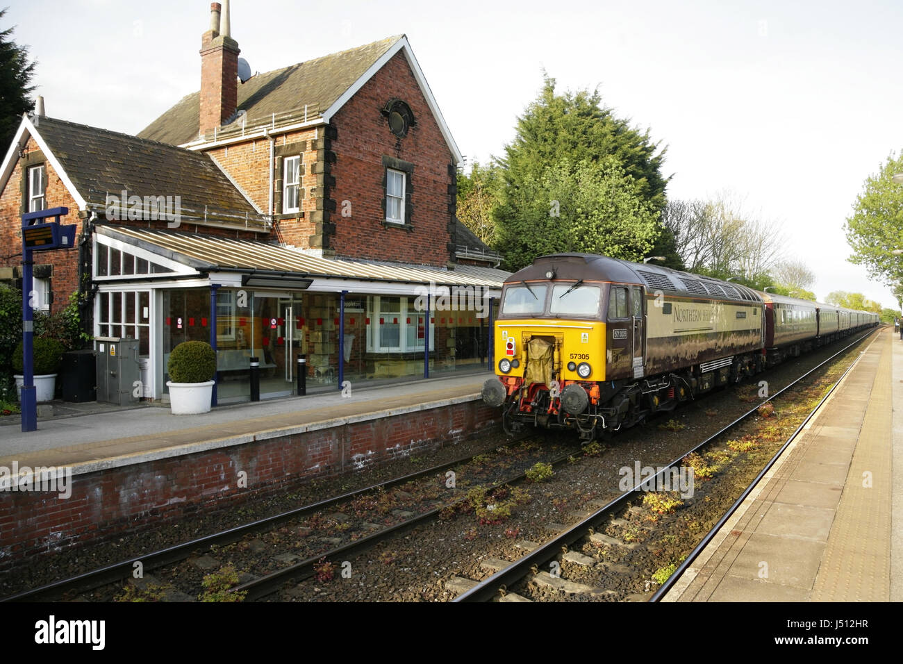 Classe 57 diesel 57305 loco con un Belmond Pullman servizio charter a stazione Poppleton, North Yorkshire, Regno Unito Foto Stock