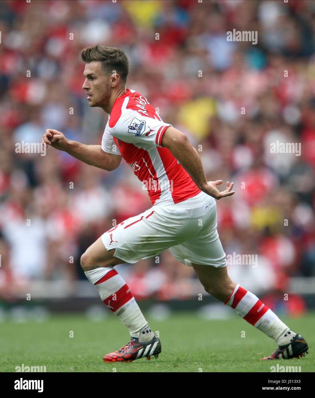 AARON RAMSEY Arsenal FC Arsenal Emirates Stadium Londra Inghilterra 13 Settembre 2014 Foto Stock