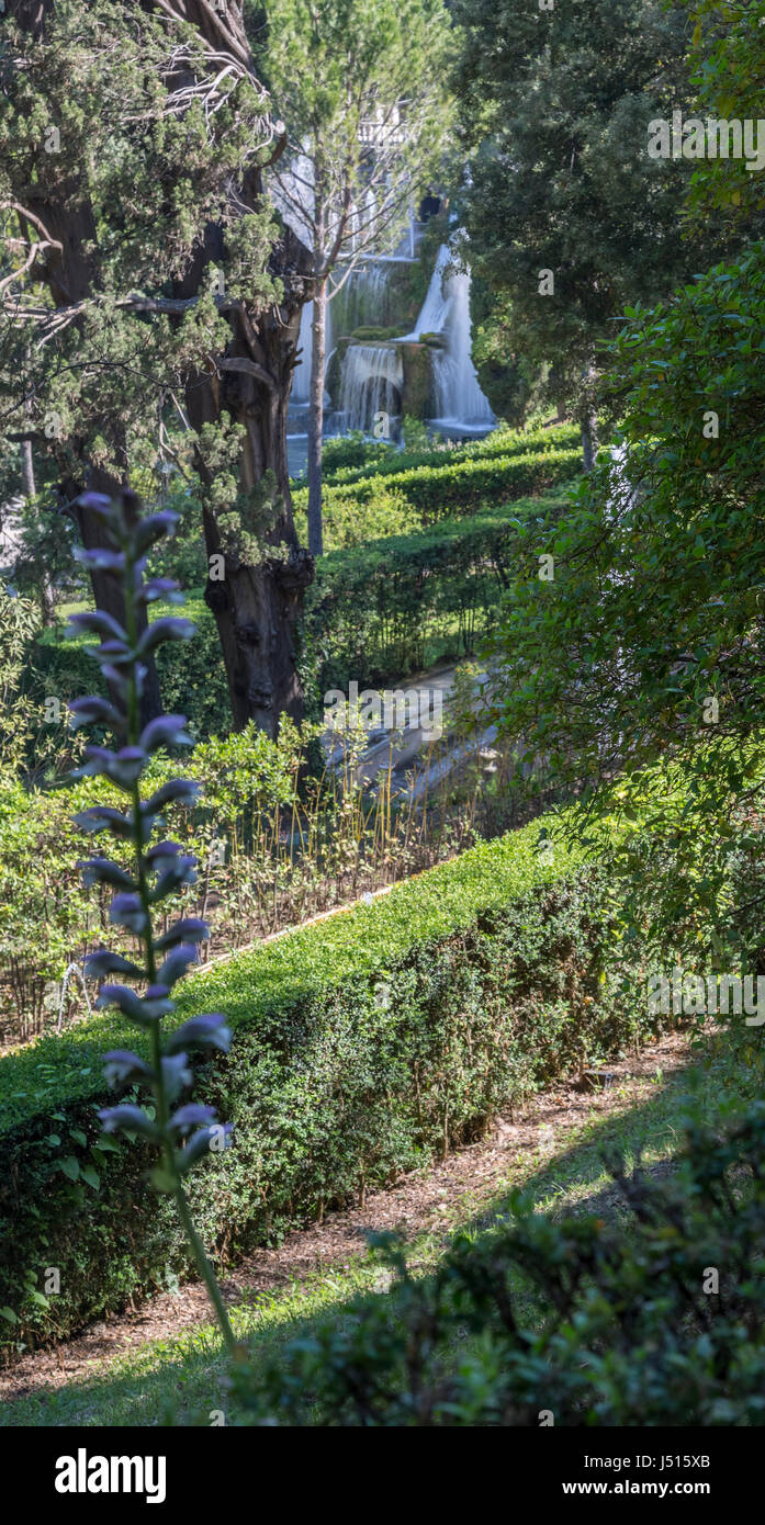 Giardino con terrazze, Villa d'Este, Tivoli, vicino Roma, Italia Foto Stock
