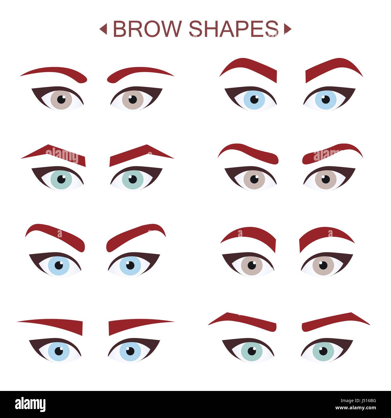 Brow forme. Una infografica Illustrazione Vettoriale