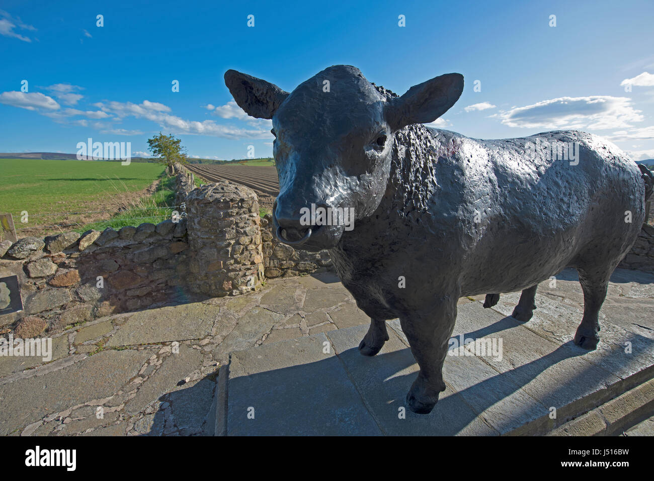 Il famoso Black Bull statua dal ciglio della strada all'ingresso est all'Aberdeenshire città di Alford in Grampian Regione, Scozia. Foto Stock