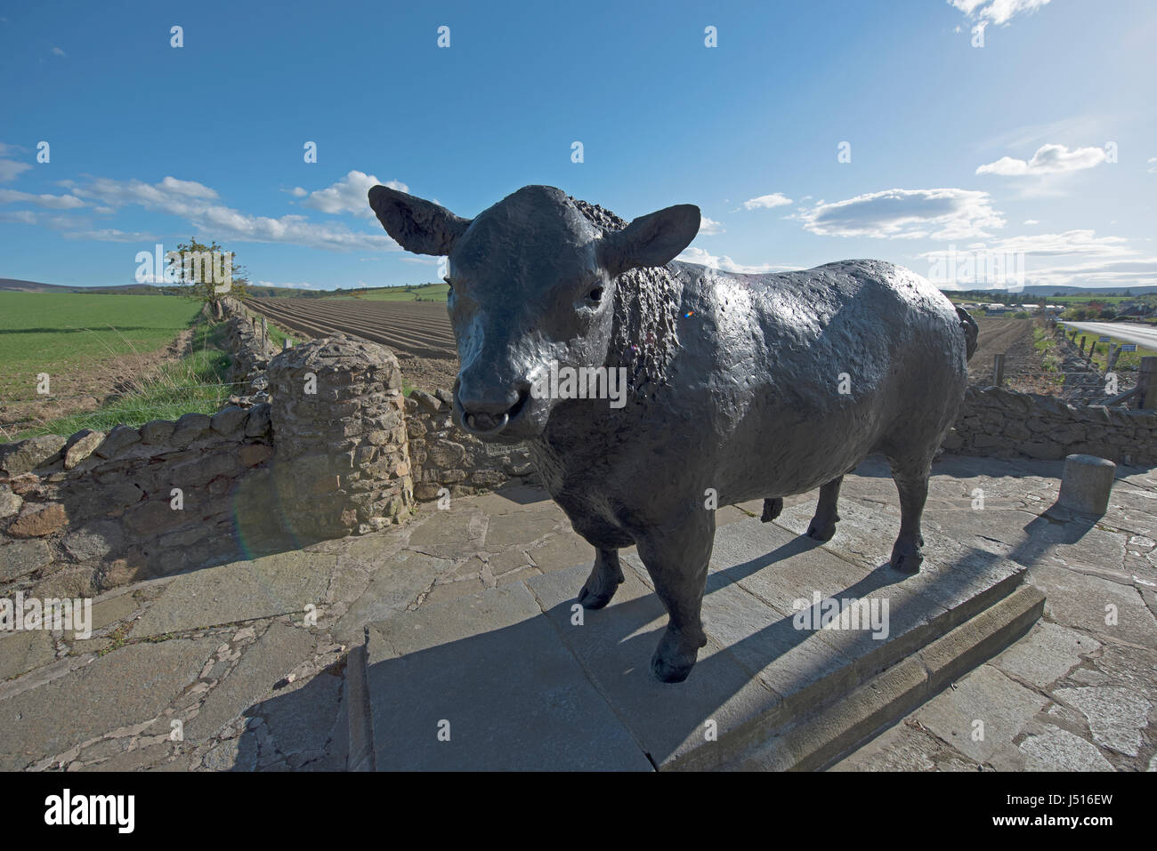 Il famoso Black Bull statua dal ciglio della strada all'ingresso est all'Aberdeenshire città di Alford in Grampian Regione, Scozia. Foto Stock