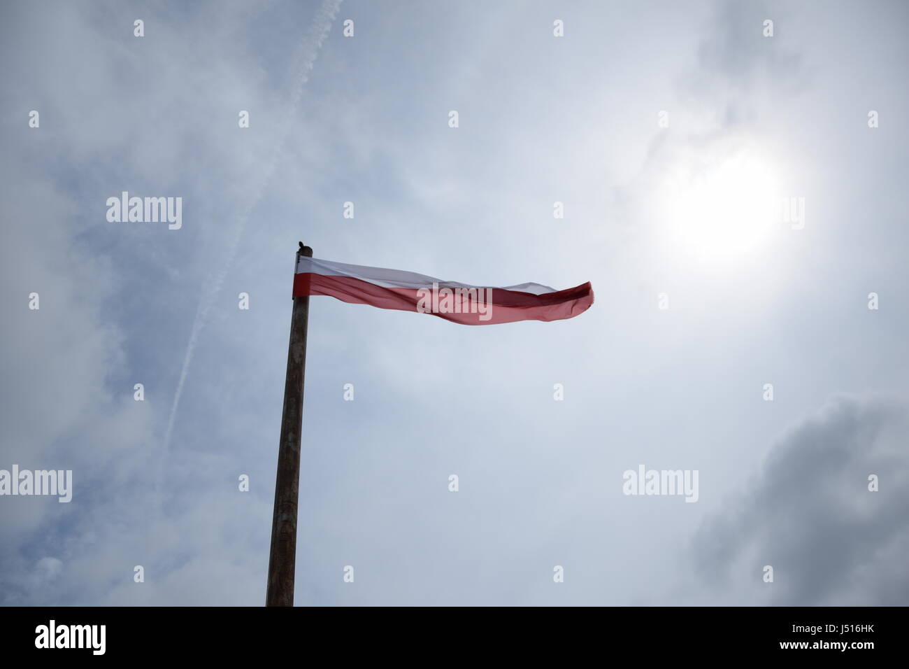 Bandiera polacca battenti sul pennone nel cielo nuvoloso Foto Stock