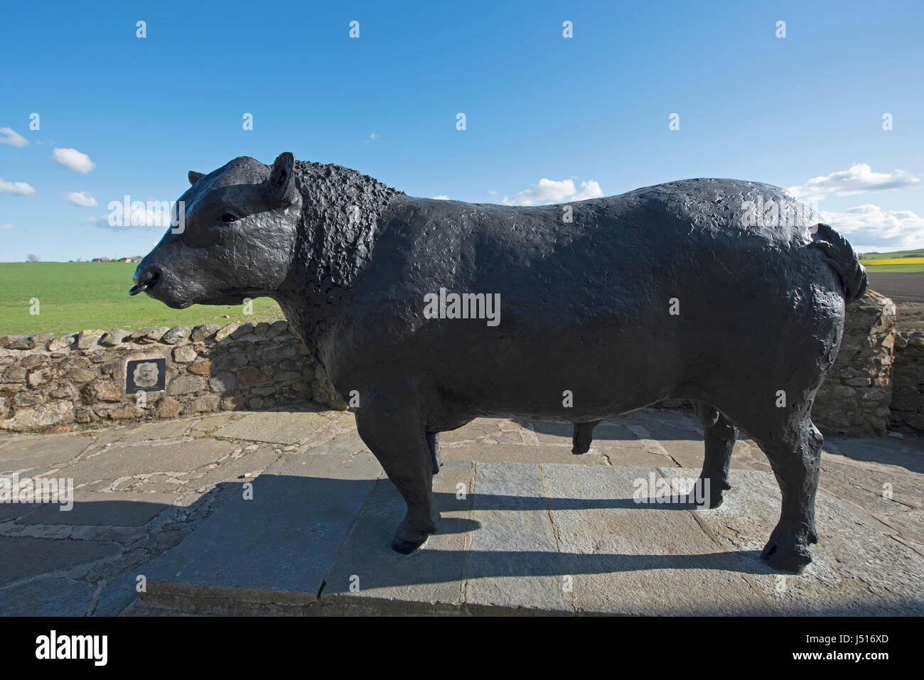 Il famoso Black Bull statua dal ciglio della strada all'ingresso est all'Aberdeenshire città di Alford in Grampian Regione, Scozia. Foto Stock