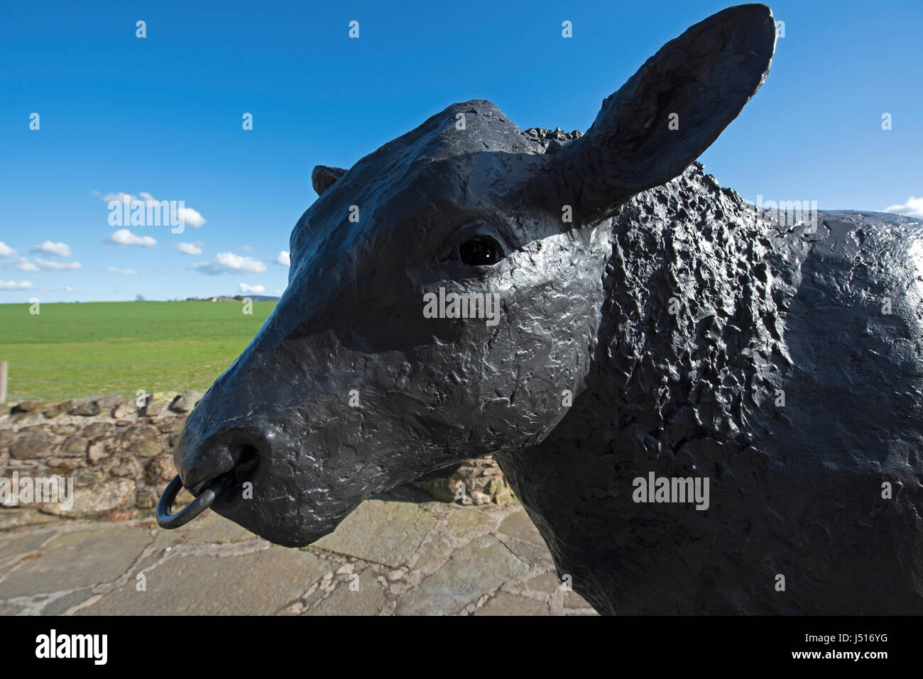 Il famoso Black Bull statua dal ciglio della strada all'ingresso est all'Aberdeenshire città di Alford in Grampian Regione, Scozia. Foto Stock