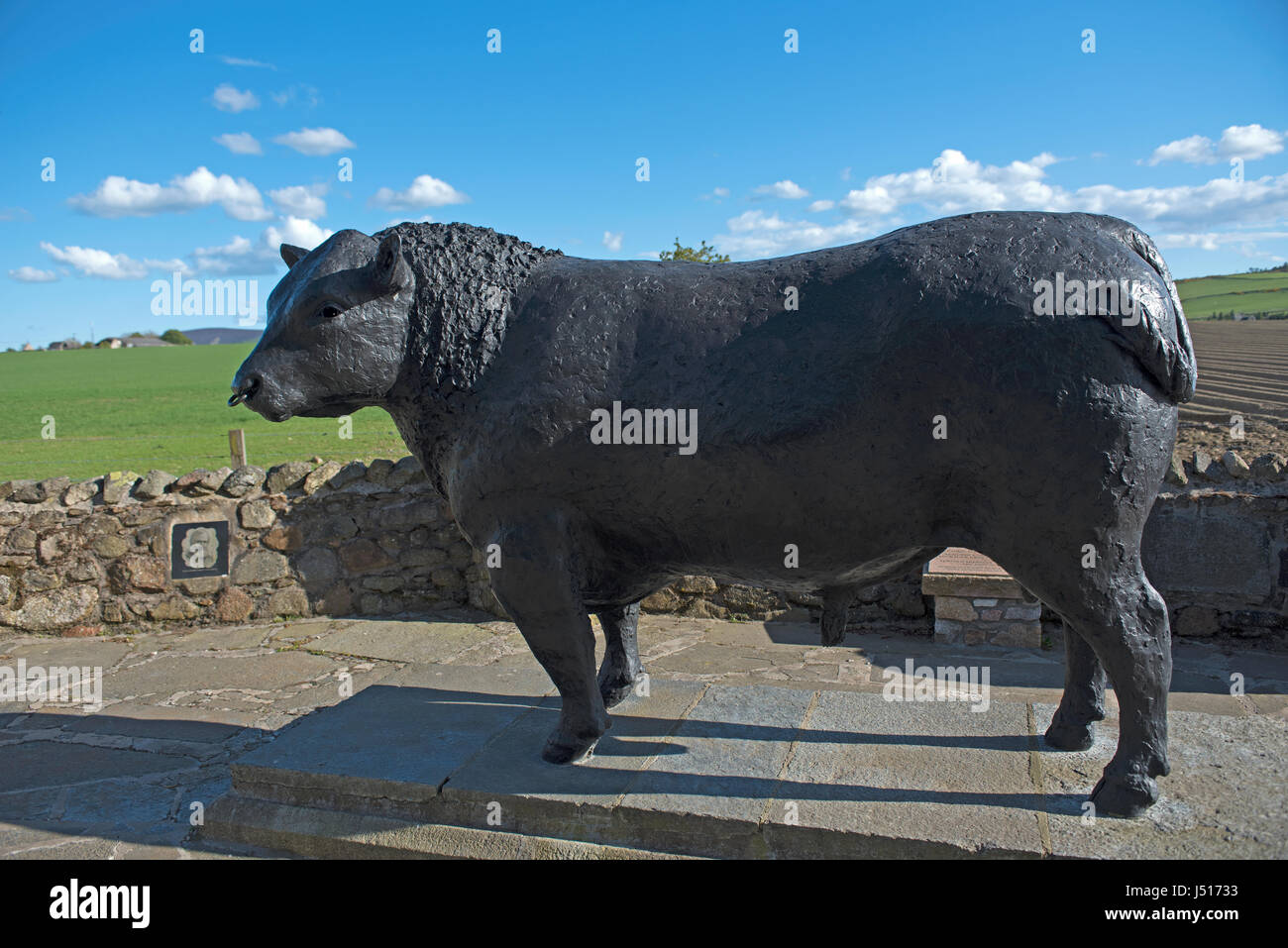 Il famoso Black Bull statua dal ciglio della strada all'ingresso est all'Aberdeenshire città di Alford in Grampian Regione, Scozia. Foto Stock