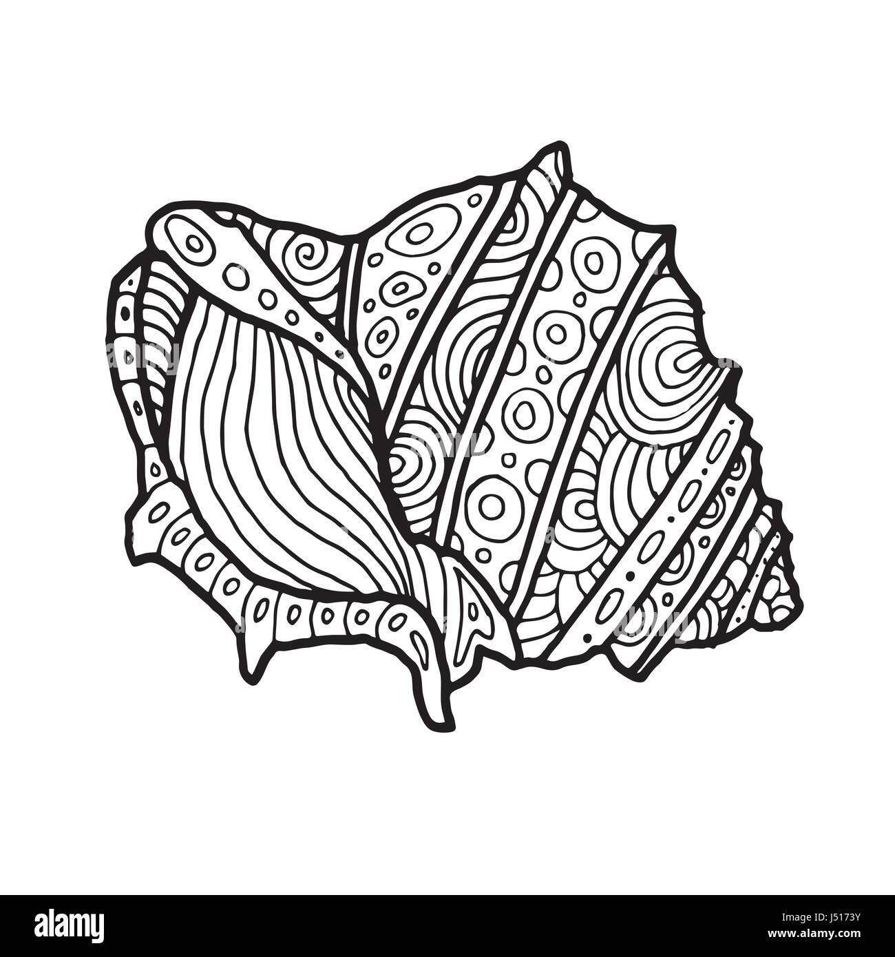 Zentangle Decorativa Conchiglia Di Mare Illustrazione Schizzo
