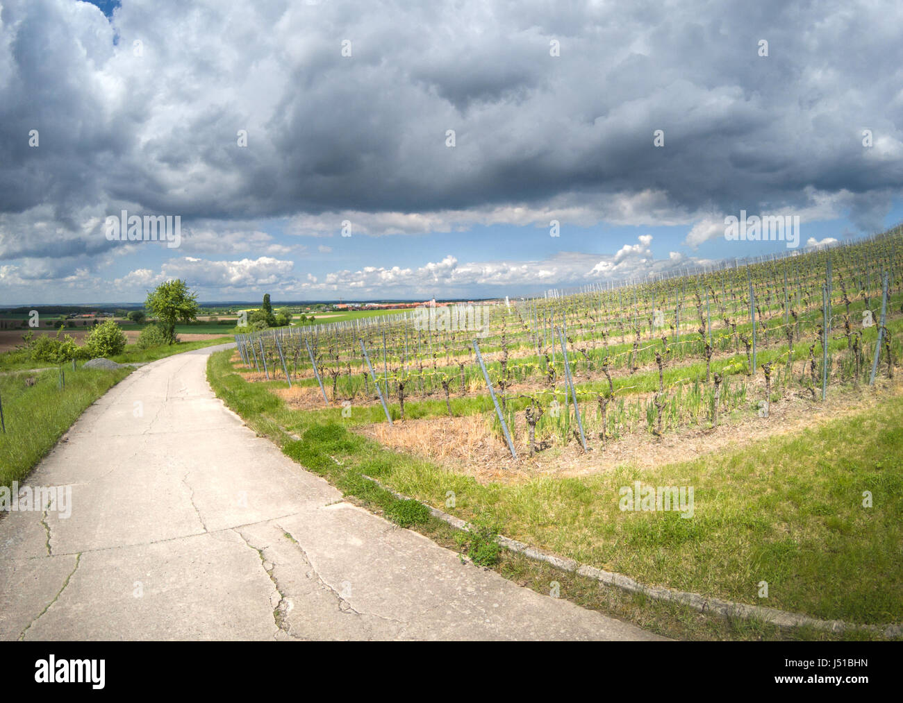 Vista sul vigneto di tedesco in un paesaggio rurale con drammatica sky Foto Stock