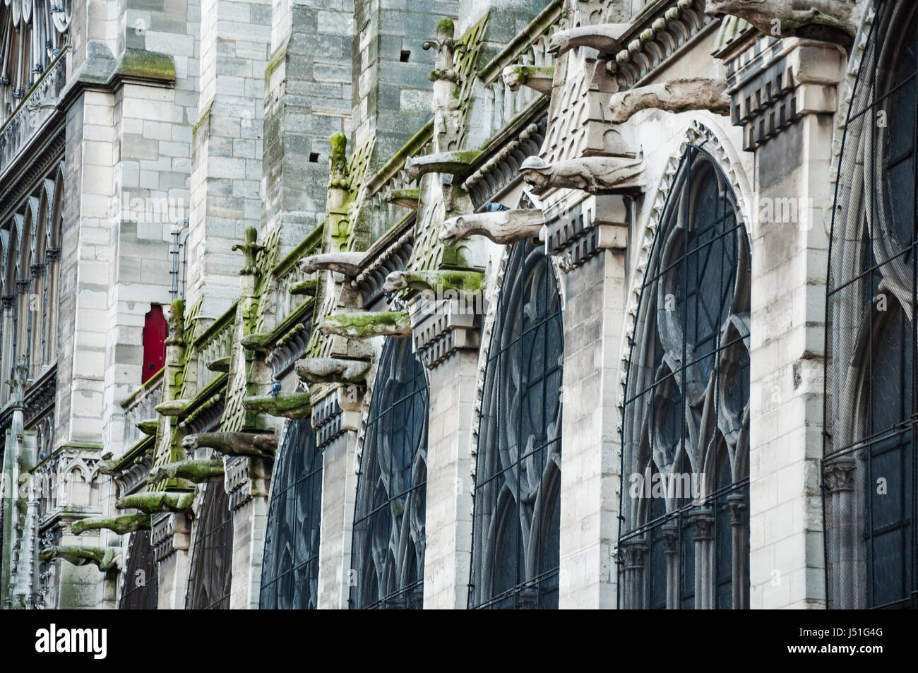 La cattedrale di Notre Dame di Parigi Foto Stock
