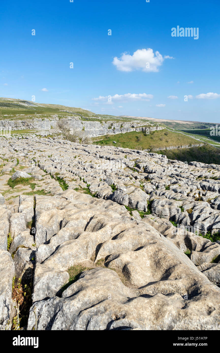 Pavimentazione di pietra calcarea in cima Malham Cove, Malham, Malhamdale, Yorkshire Dales National Park, North Yorkshire, Inghilterra, Regno Unito. Foto Stock