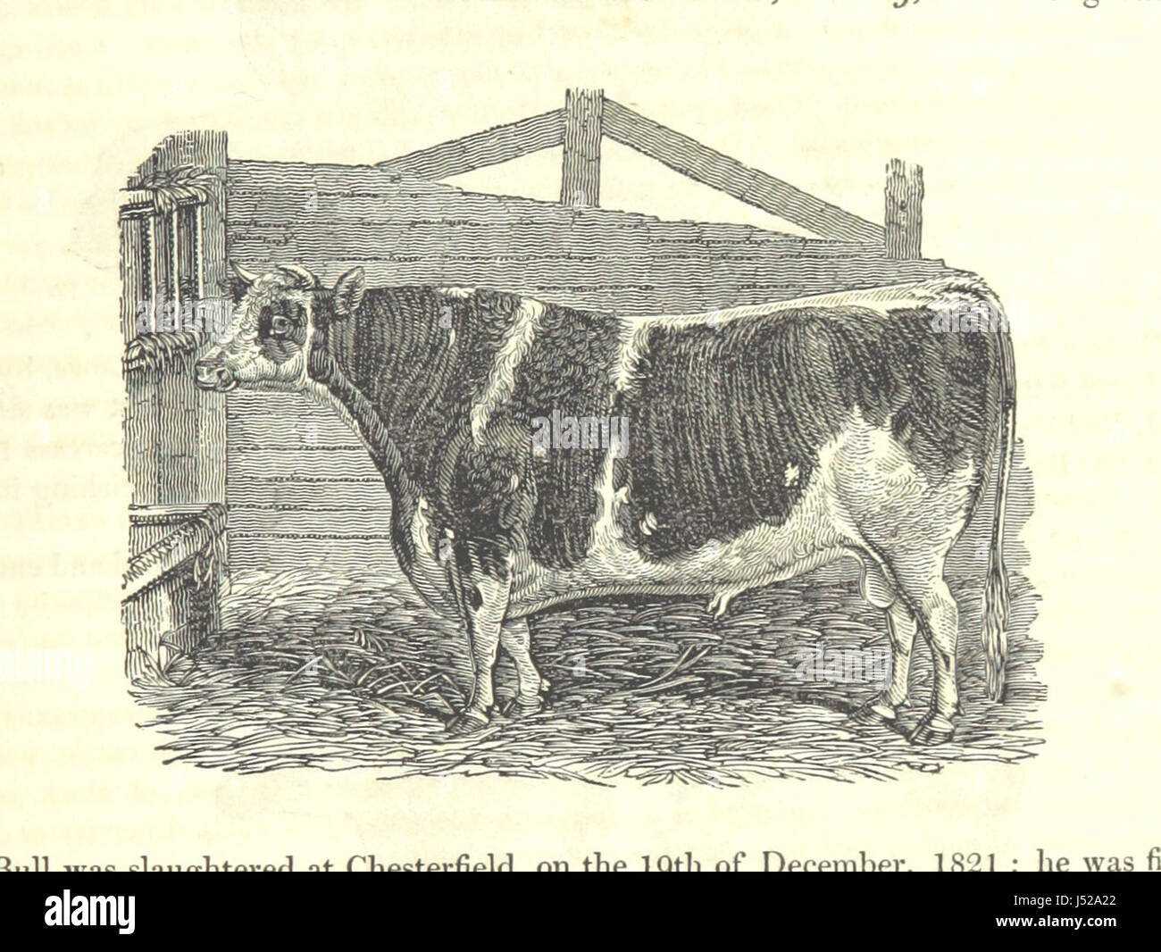 Questo lavoro, compilato da S. Glover e curato da Thomas Noble, fornisce una panoramica completa della storia e della geografia della contea di Derby. Include dati geologici, mineralogici, commerciali e statistici, integrati da mappe dettagliate e incisioni dei punti di riferimento e delle caratteristiche naturali della contea. Foto Stock
