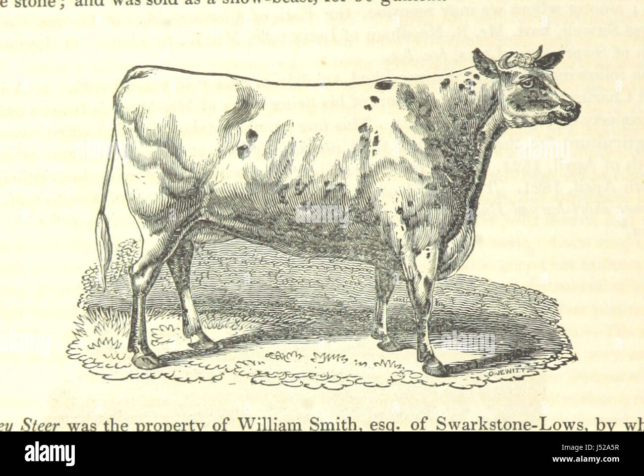 La storia e il Dizionario geografico della contea di Derby: redatto dall osservazione reale e la migliore autorità; contenenti una varietà di aspetti geologici, mineralogici, commerciali e informazioni statistiche. Illustrato da una mappa della contea, e numerosi rame-piastra e incisioni in legno dai primi artisti. I materiali raccolti dall'editore, S. Glover. A cura di Thomas nobile Foto Stock