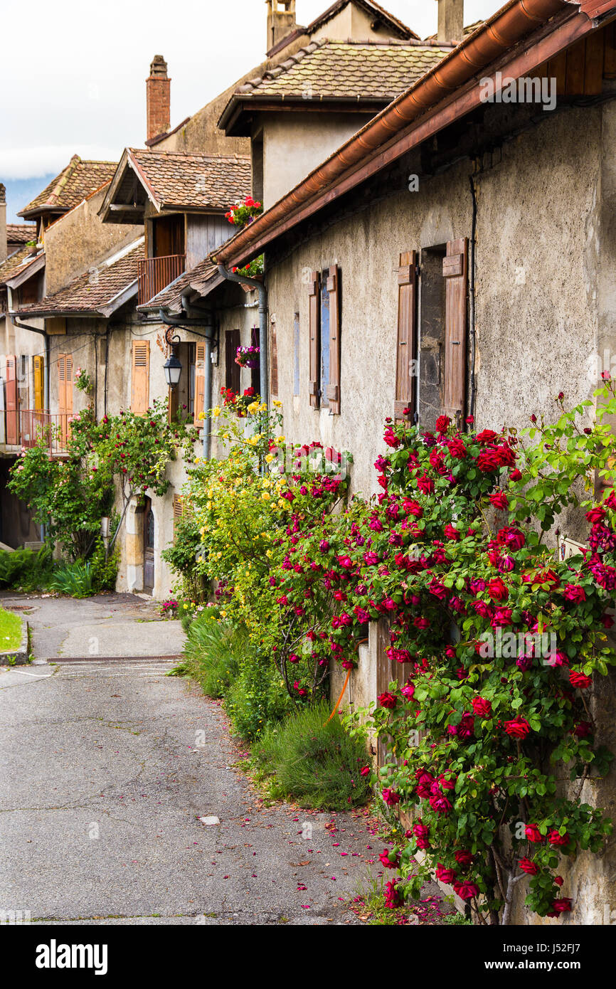 Annecy le Vieux in Savoia Alta Savoia regione della Francia case caratteristiche e architettura fiume che scorre attraverso la vecchia città medievale Foto Stock