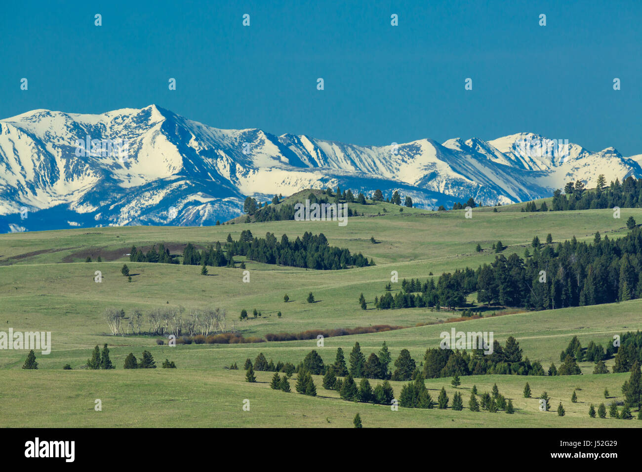 Picchi della gamma anaconda visto dalla parte superiore spotted dog creek vicino bacino avon, montana Foto Stock