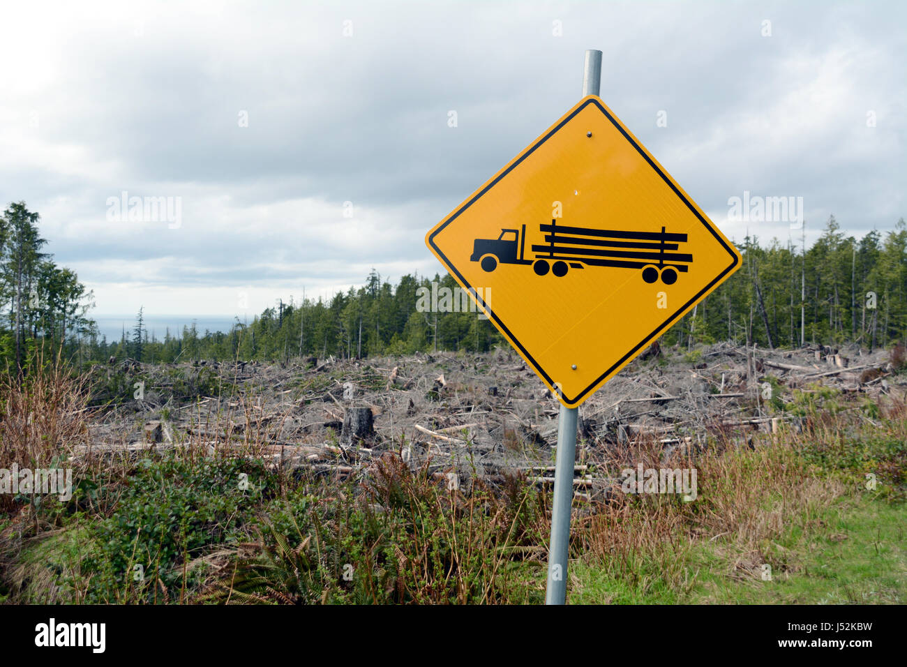 La registrazione di un segno del carrello accanto a una seconda fase di crescita una chiara definizione della foresta pluviale nei pressi della città di Port Renfrew, Isola di Vancouver, British Columbia, Canada. Foto Stock