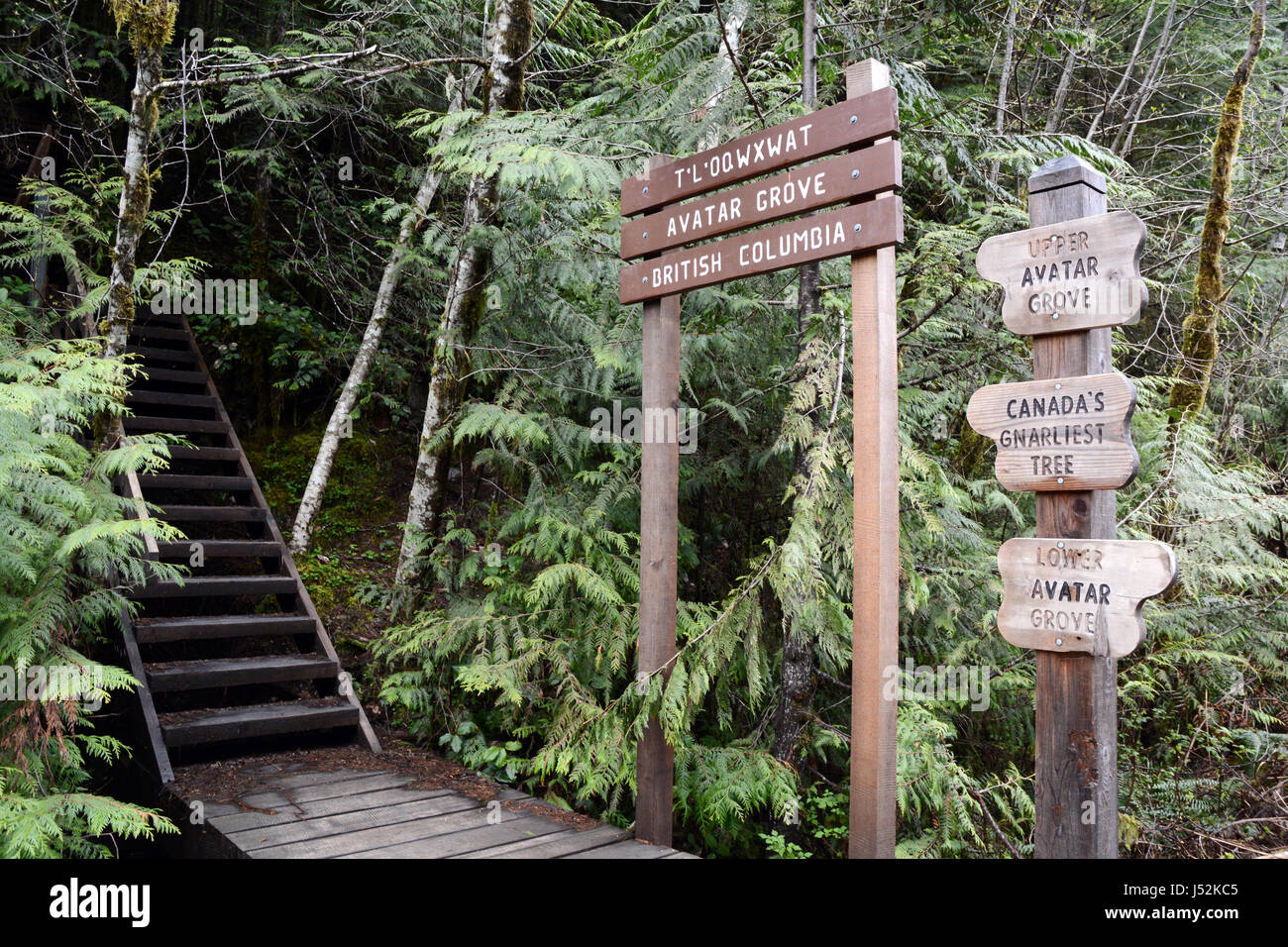 Segni che mostra l'entrata di Avatar Grove, protetto da una antica foresta sull'Isola di Vancouver, British Columbia, Canada. Foto Stock