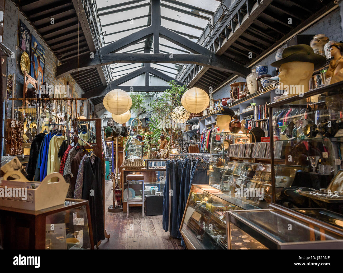 Interno di un oggetti di antiquariato e collezionismo shop. Foto Stock