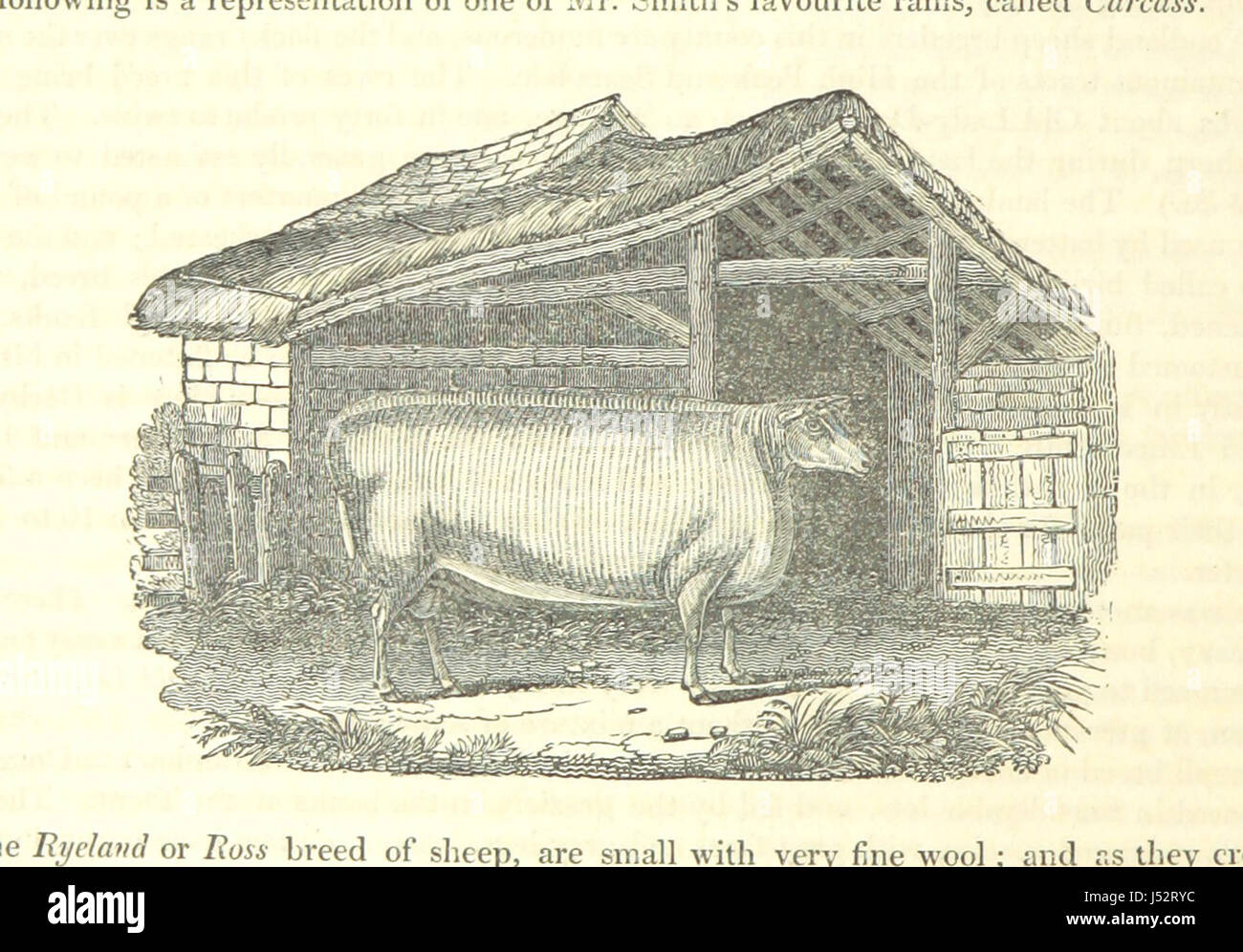 La storia e il Dizionario geografico della contea di Derby: redatto dall osservazione reale e la migliore autorità; contenenti una varietà di aspetti geologici, mineralogici, commerciali e informazioni statistiche. Illustrato da una mappa della contea, e numerosi rame-piastra e incisioni in legno dai primi artisti. I materiali raccolti dall'editore, S. Glover. A cura di Thomas nobile Foto Stock