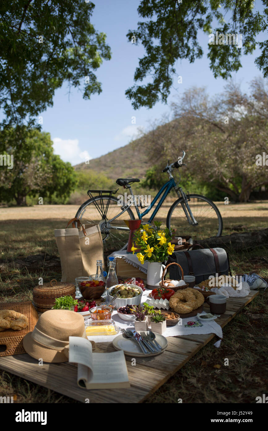 Un picnic in scena la campagna con una bici e alimenti freschi stabilito  Foto stock - Alamy