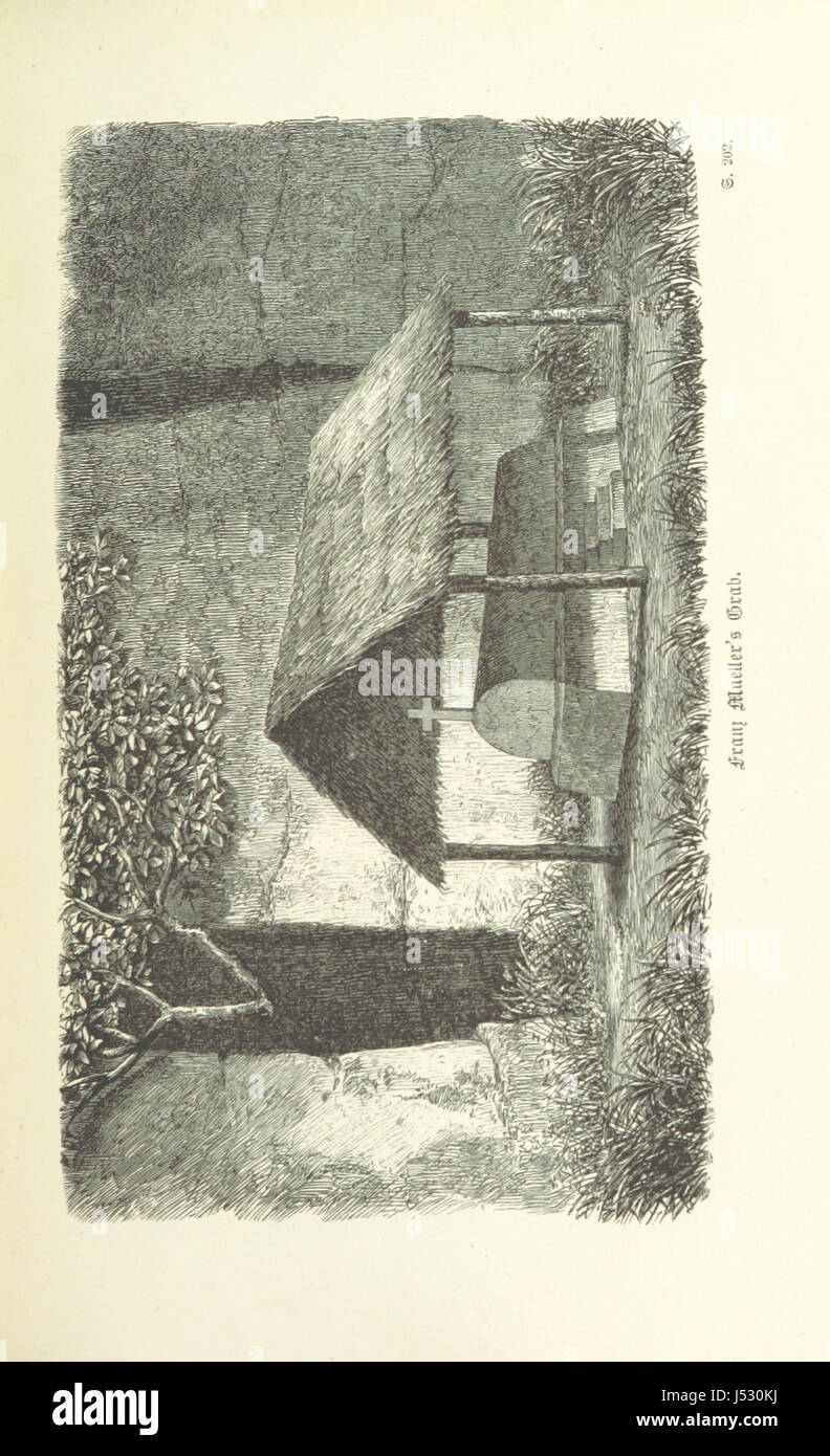 Im Innern Afrikas. Die Erforschung des Kassai während der Jahre 1883, 1884, und 1885. Von H. von Wissmann, L. Wolf, C. von François, Hans Mueller. Dritte Auflage. Mit ... Abbildungen und 3 Karten Foto Stock