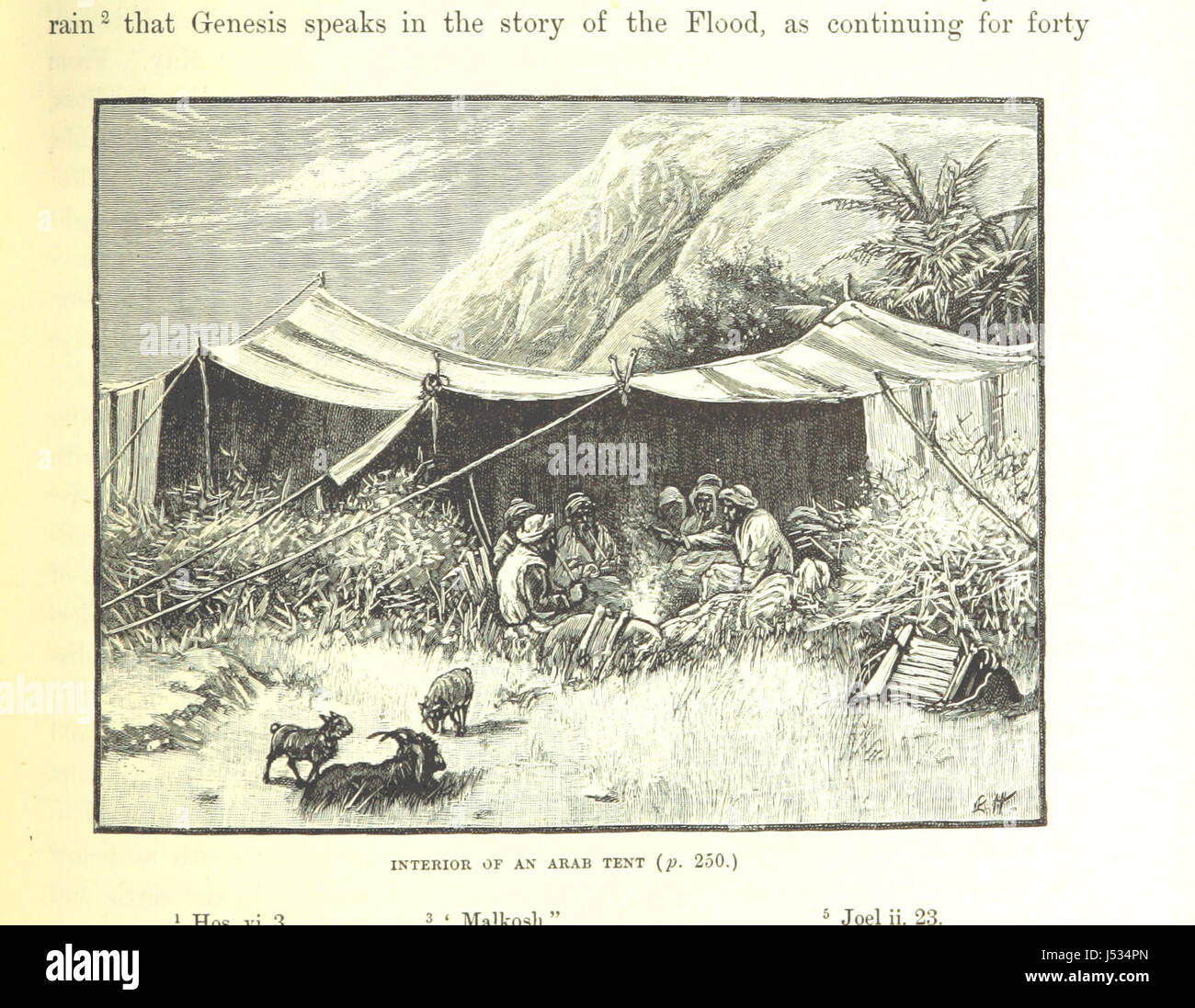 Questo libro raccoglie illustrazioni dalla Terra Santa, incentrate su siti e storie raffigurate nella Bibbia. Mette in evidenza la connessione tra la storia religiosa e la geografia della Palestina, offrendo un'interpretazione visiva delle narrazioni bibliche. Foto Stock