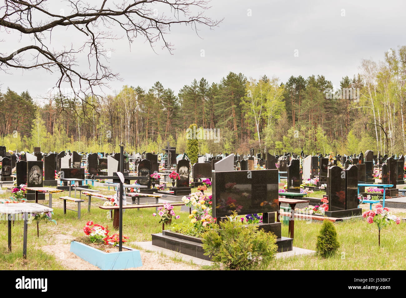 Il cimitero cristiano con monumenti, lapidi e attraversa la foresta Foto Stock