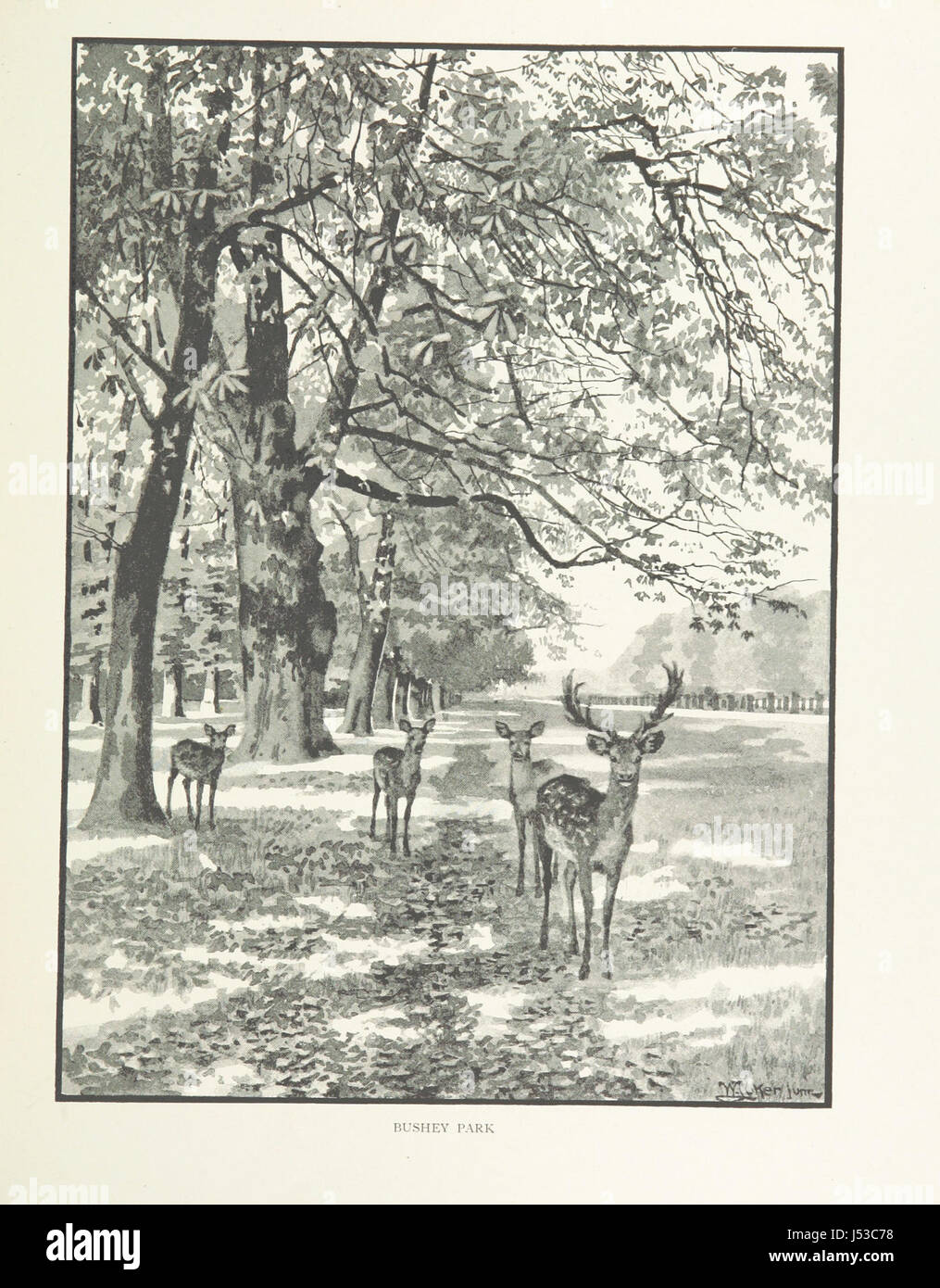 Un'illustrazione di W. Luker che raffigura i moderni sobborghi di Londra, mostrando l'evoluzione dell'architettura residenziale e della proliferazione urbana. Foto Stock