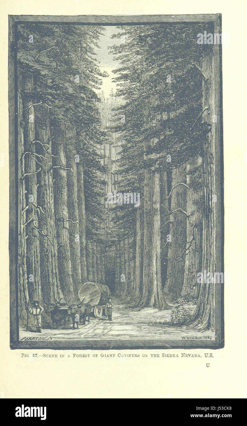 Immagine presa da pagina 309 del '[Longmans' School geografia per Australasia.]" Foto Stock