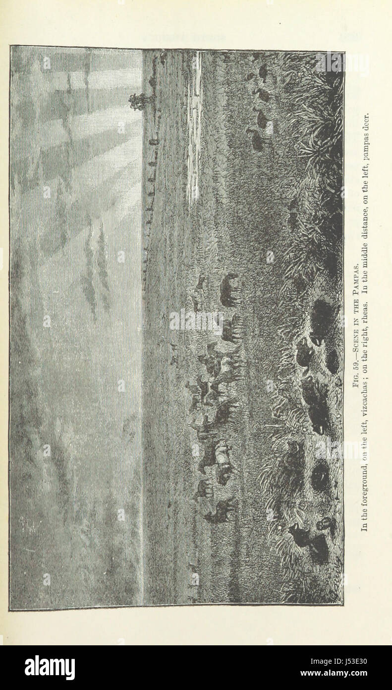 Longmans' School geografia per Australasia Foto Stock