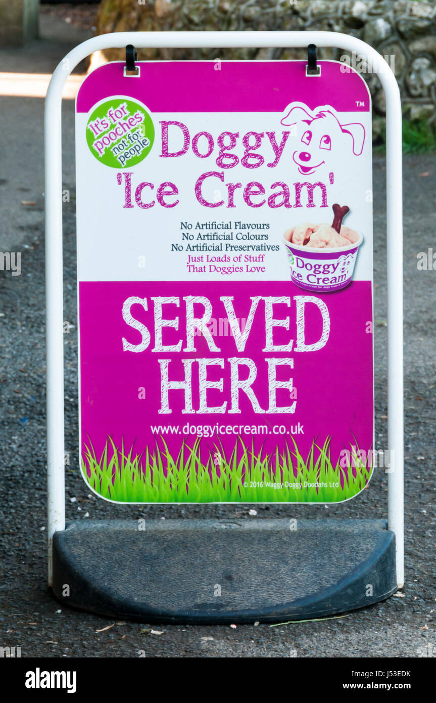 Un segno pubblicità della vendita di Doggy Gelato. Foto Stock
